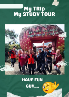 MY TRIP